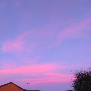 一二三区精品无码视频
