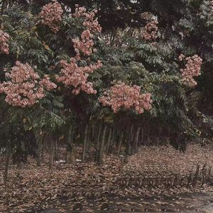 浴室被强做各种姿势嗯啊
