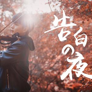 一二三区精品无码视频
