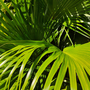 浴室被强做各种姿势嗯啊
