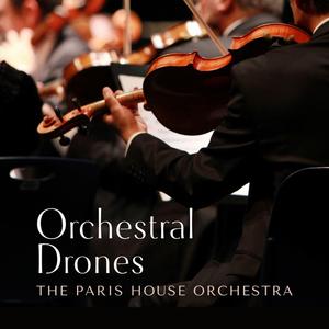 少女B毛多被干电影在现
